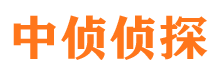 蚌山调查公司